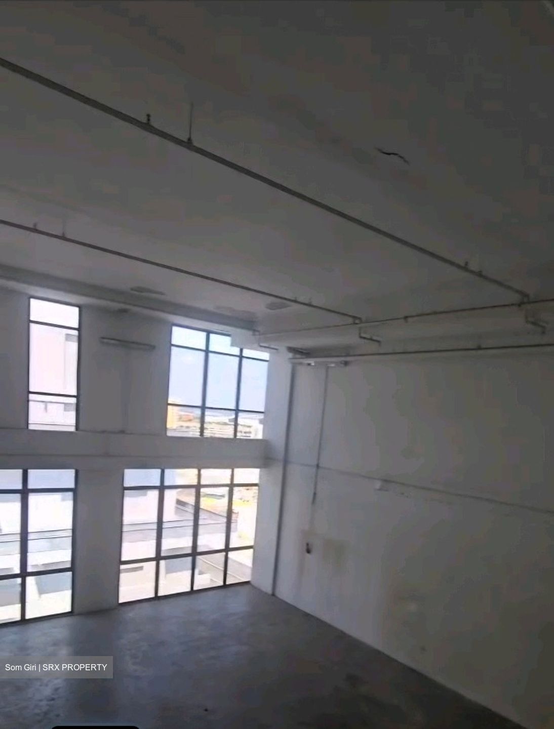Primax (D19), Factory #560071261